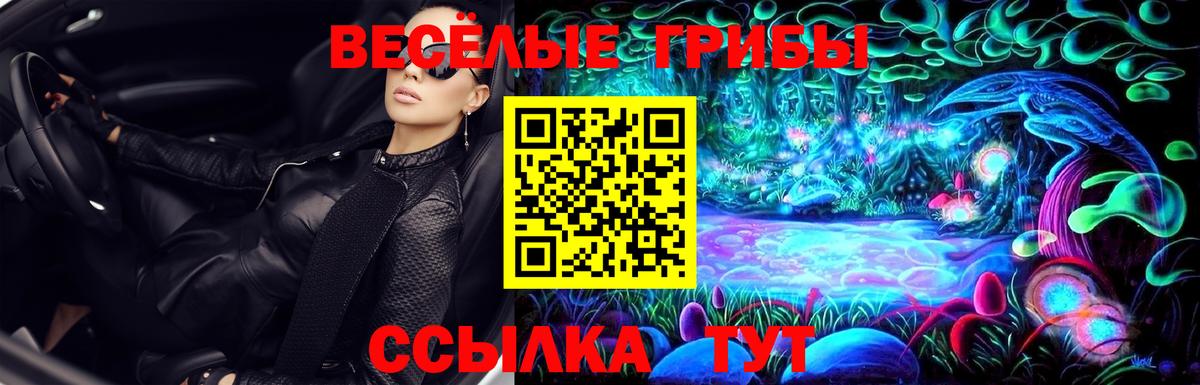 Галлюциногенные грибы Psilocybine cubensis Новосибирск