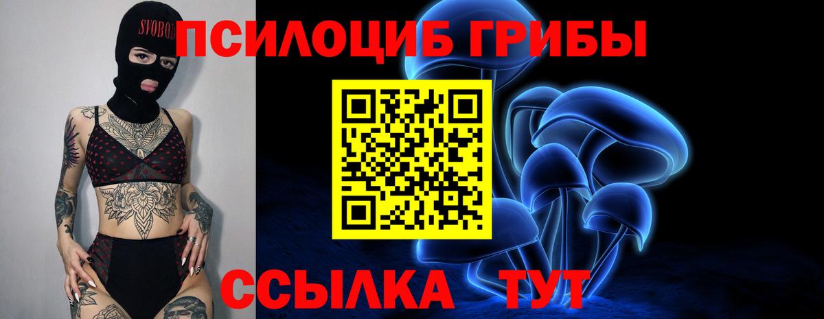 наркота  Галлюциногенные грибы Psilocybe  Вход с VPN  Новосибирск  Псилоцибиновые грибы мухоморы 